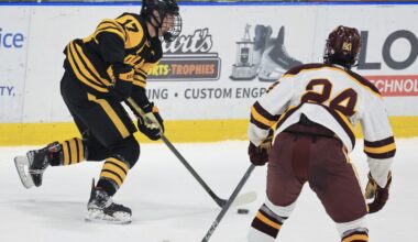 Benson Peterson, Duluth Marshall open up in midseason form - Duluth News Tribune