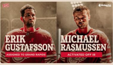 Red Wings assign Erik Gustafsson to Grand Rapids