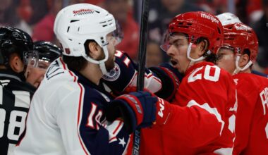 Blue Jackets center Adam Fantilli shoves Detroit Red Wings defenseman Albert Johansson.