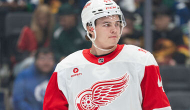 Axel Sandin-Pellikka of the Detroit Red Wings.