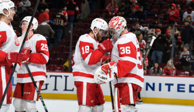Andrew Copp (18) and John Gibson (36) celebrate after a Detroit Red Wings win.