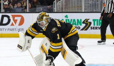 NHL: DEC 21 Senators at Bruins