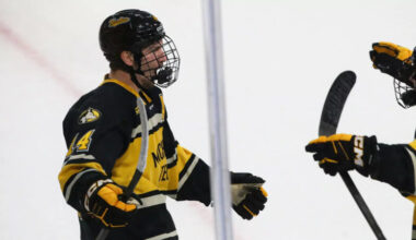 Huskies hockey sweeps Ferris State for second time this season | News, Sports, Jobs