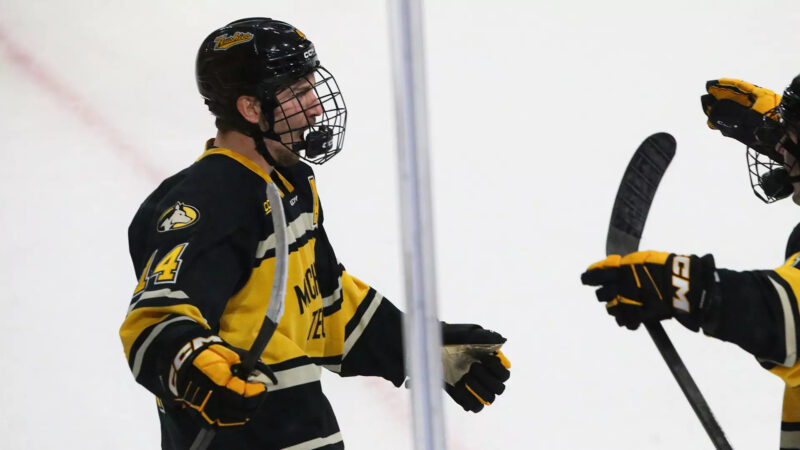 Huskies hockey sweeps Ferris State for second time this season | News, Sports, Jobs