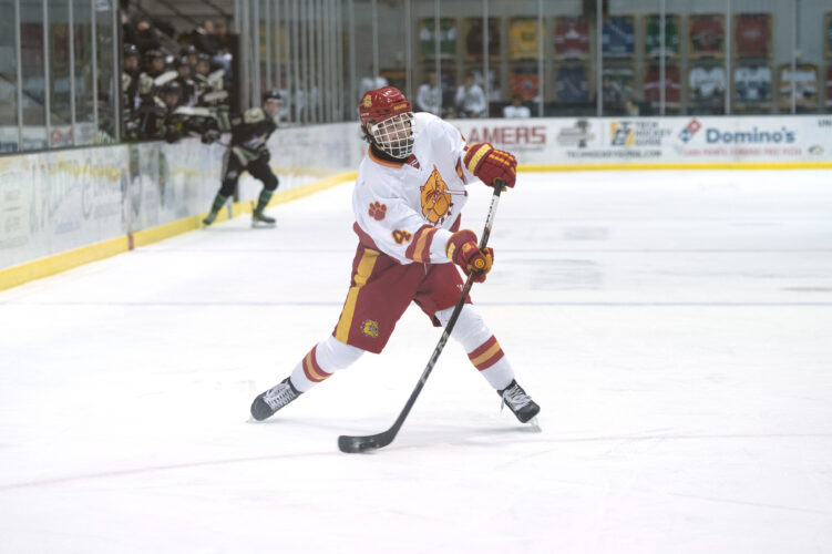 Bulldogs hockey splits MacInnes Classic games | News, Sports, Jobs