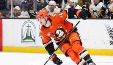 Fantasy hockey pickups: Stack your lineup with Ducks, Predators this week