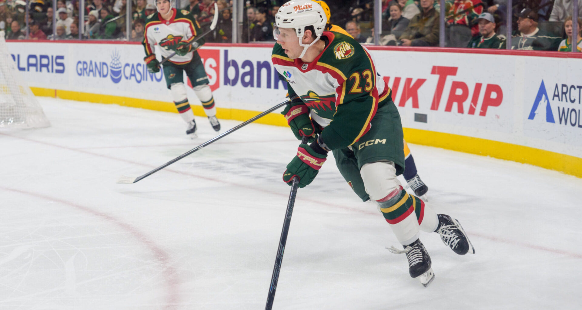 Updates Provided for Injured MN Wild Talent