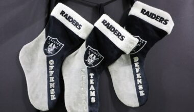 Best Stocking Stuffers for Sports Fans: NFL, NBA, MLB, NHL Holiday Gift Guide