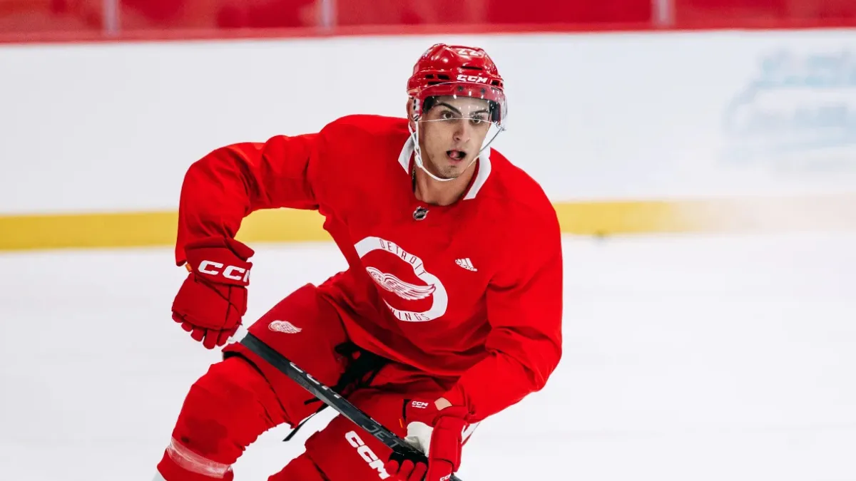 3 Red Wings prospects who are on the verge of making their NHL debuts this season