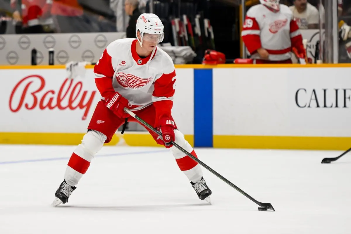 Ex-Red Wings veteran defenseman sidelined due to injury with new club