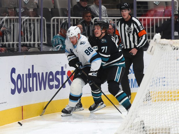 San Jose Sharks forward Macklin Celebrini (71) battles Utah Mammoth...