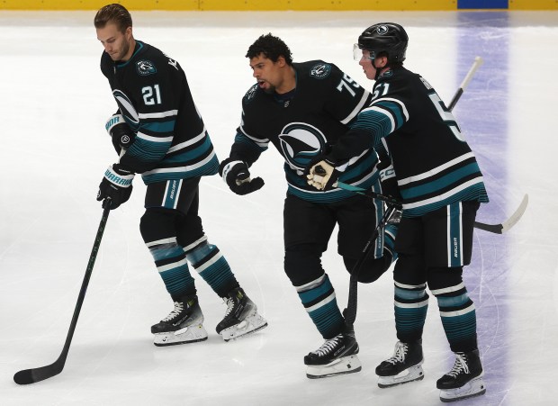 San Jose Sharks players Alexander Wennberg (21), and Ryan Reaves...