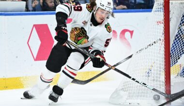 Chicago Blackhawks Tyler Bertuzzi NHL