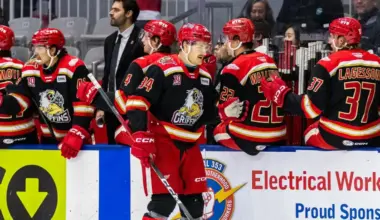 Red Wings' Grand Rapids Griffins make AHL history in a way that'll excite Hockeytown fans