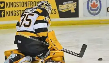 Maple Leafs organization signs goaltender to PTO amidst injury concerns