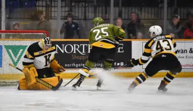 Toronto Maple Leafs organization signs 26-year-old goalie to a PTO