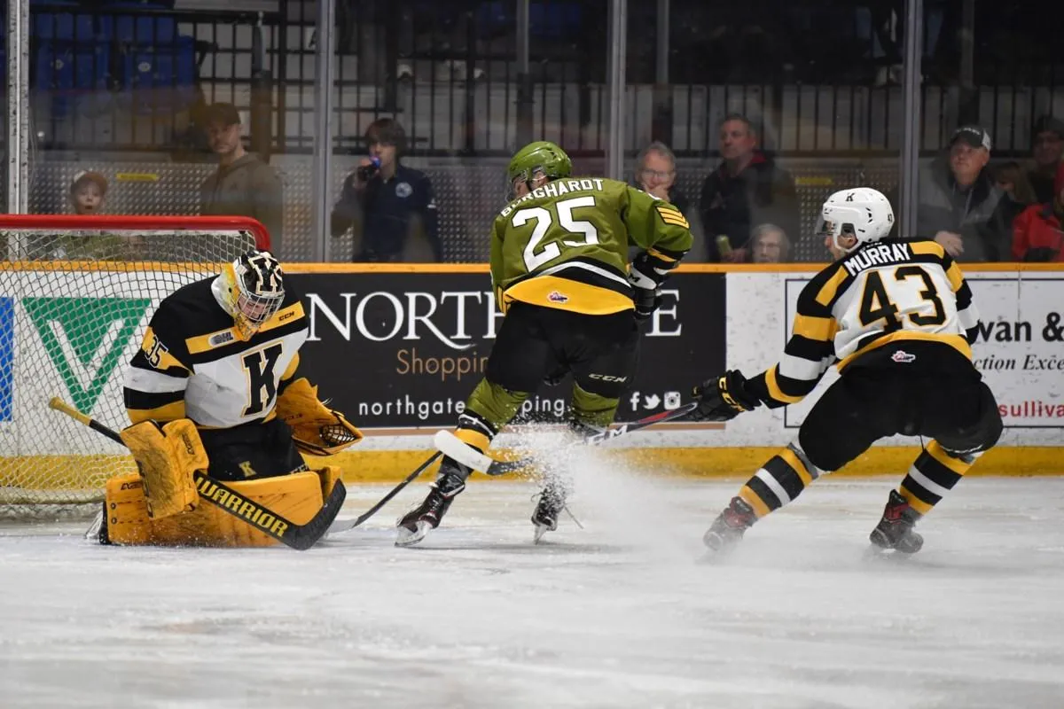 Toronto Maple Leafs organization signs 26-year-old goalie to a PTO