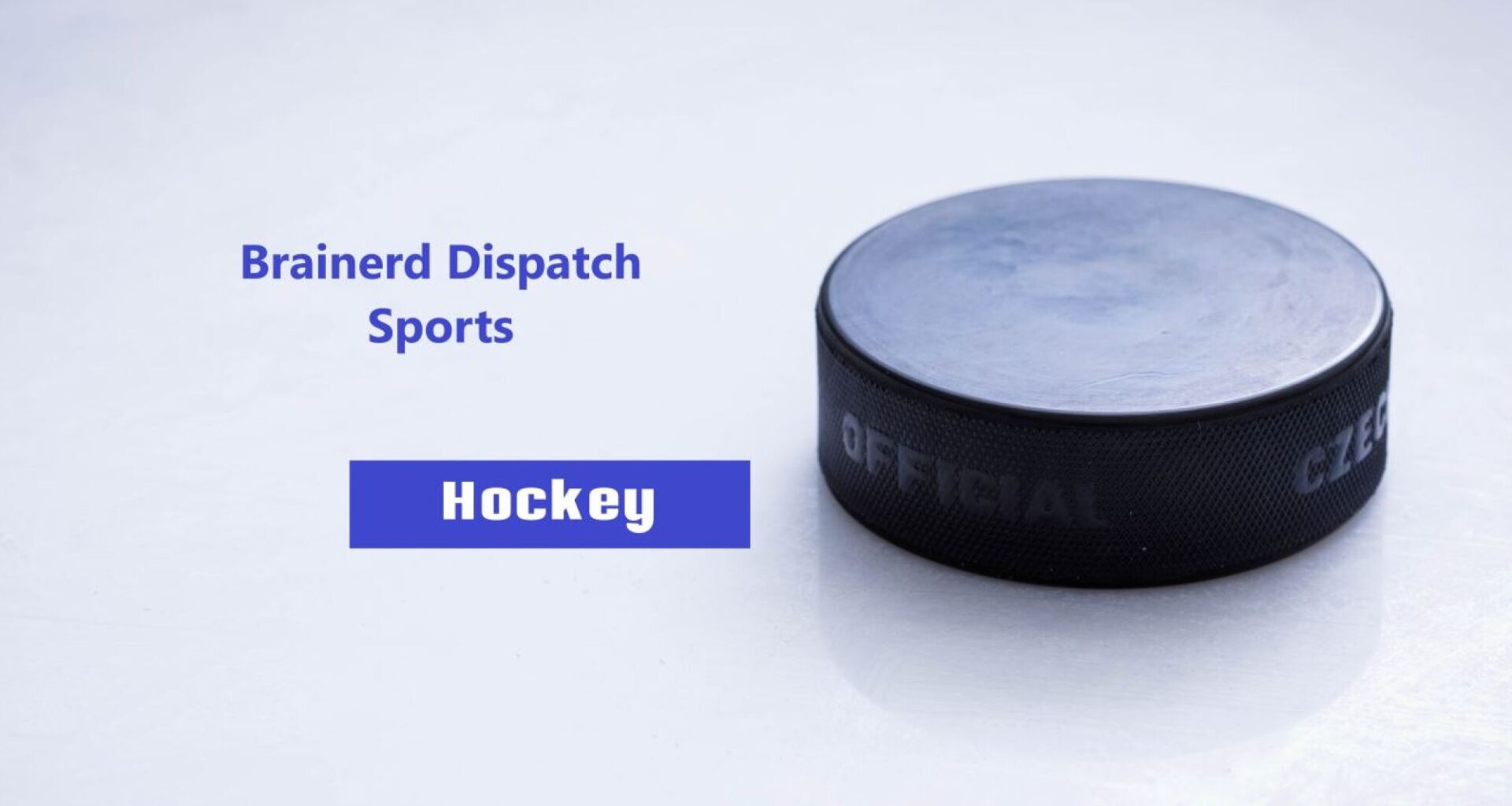 Area Boys Hockey: Fulton’s hat trick paces Lightning over Thief River Falls - Brainerd Dispatch