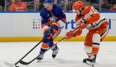 Ducks’ 3-game win streak ends against Islanders – Daily News