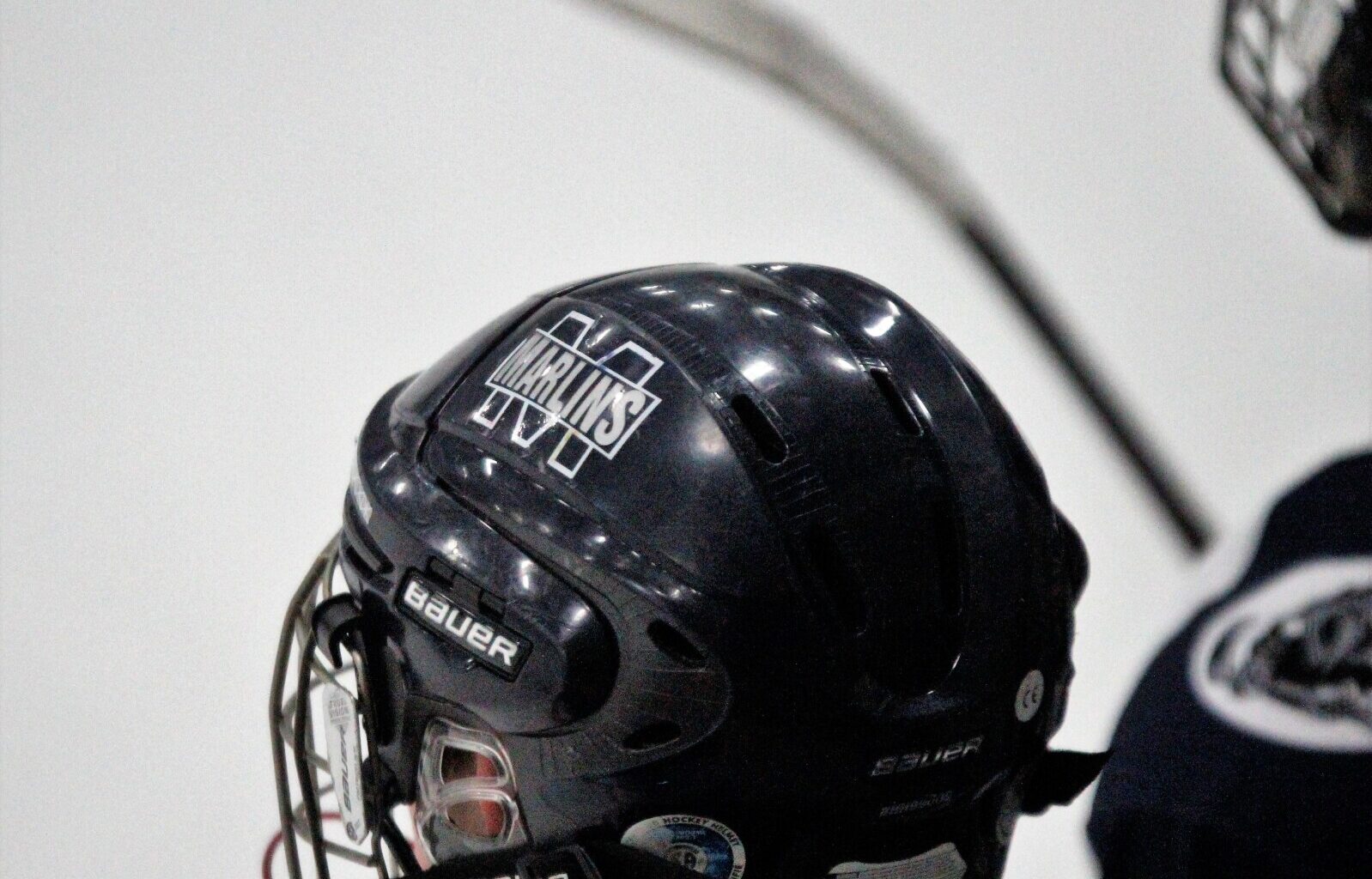 Mitchell Marlin girls hockey falls to Sioux Falls - Mitchell Republic