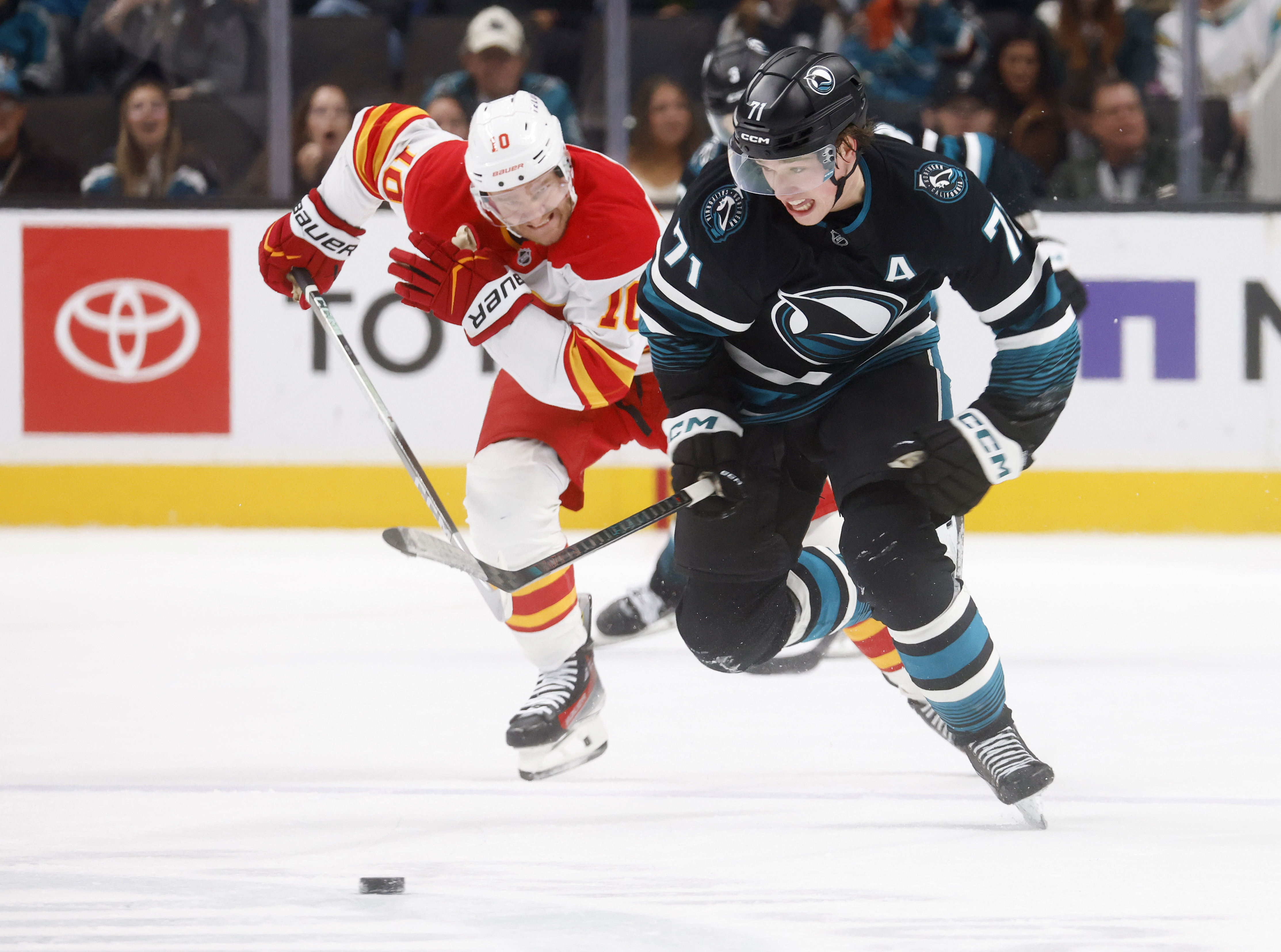 San Jose Sharks' Macklin Celebrini (71) breaks away on his...
