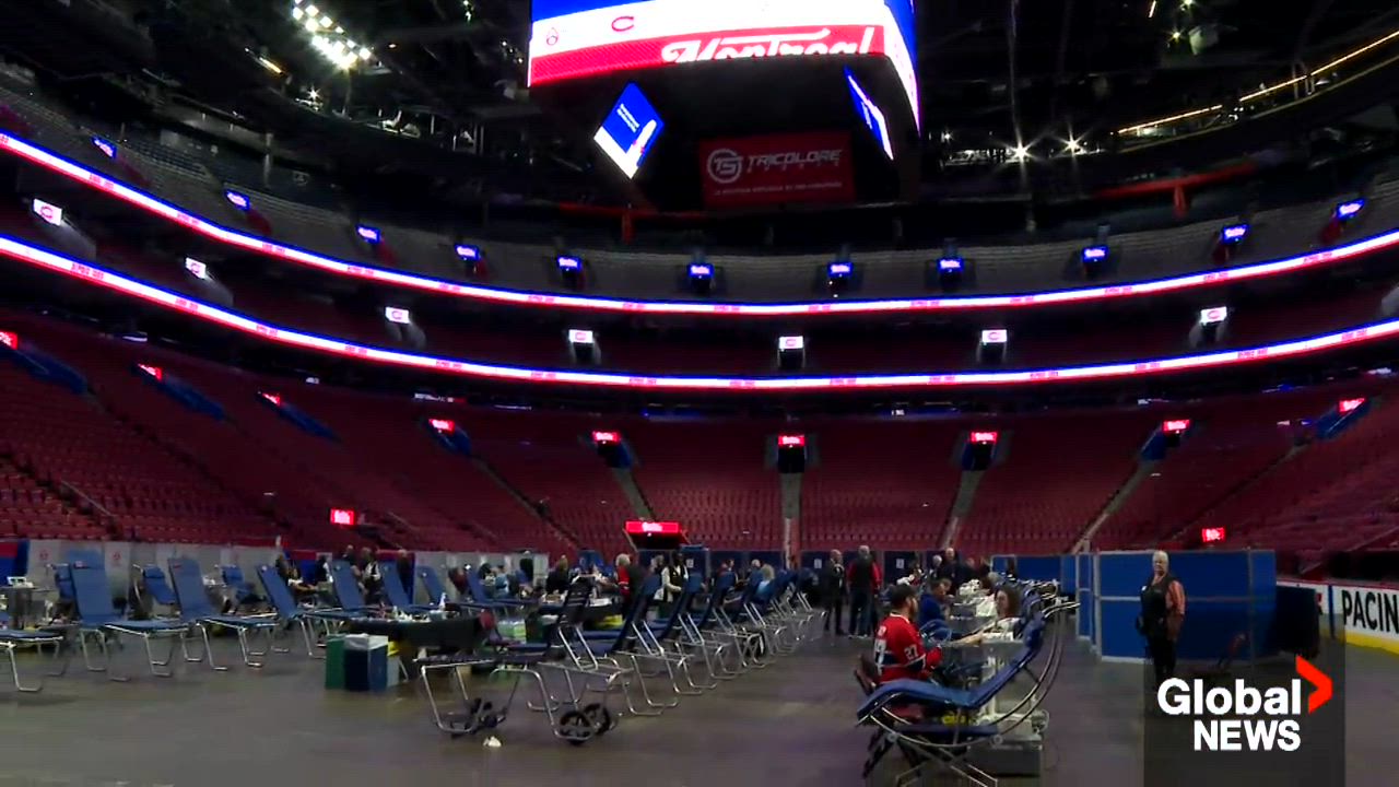 Click to play video: 'Habs fans turn out in force for annual Montreal Canadiens blood drive'