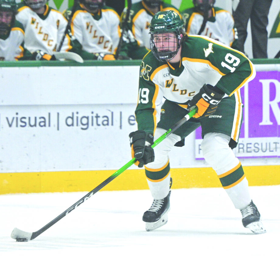 NMU’s Pitka to play in world junior hockey | News, Sports, Jobs