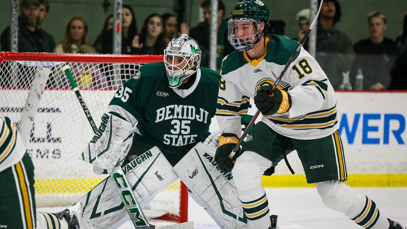 Hockey to open New Year in Arizona