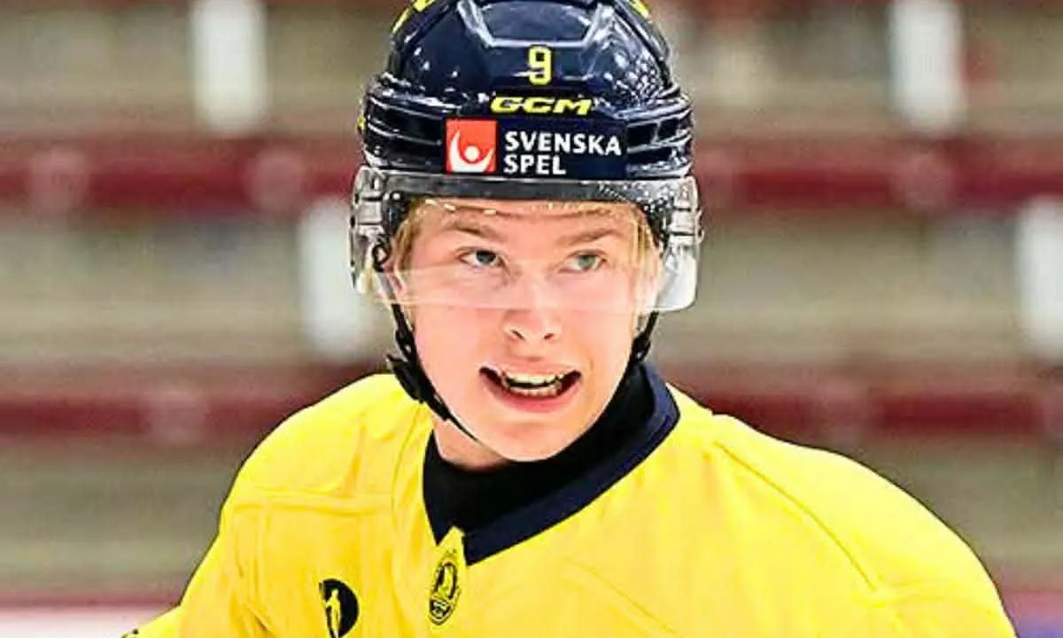 Maple Leafs prospect Victor Johansson's World Juniors start raises eyebrows