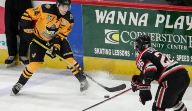 Powered by Roundtable