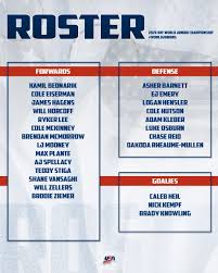 December 24, 2025: Team USA Final Roster For World Junior Championships photo courtesy of Team USA