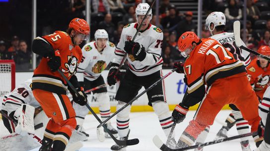 Yahoo Sports, The Sporting Tribune enter content partnership, expanding regional sports coverage to a global audience  taken in Los Angeles (Sports Media)