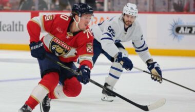 Standings bottom-dwellers Panthers, Predators hope to find momentum