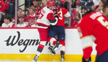 Panthers, Hurricanes