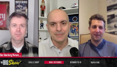 Steelers WR DK Metcalf reaches into stands, swings at Lions fan