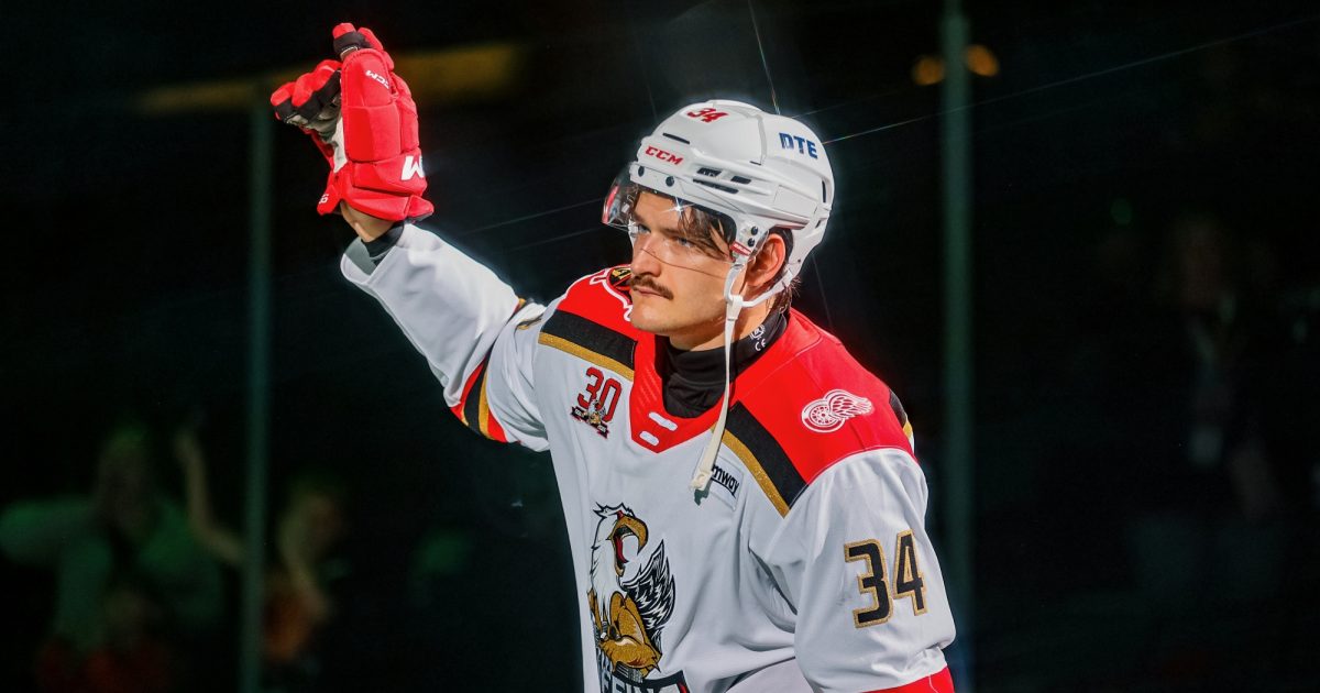 Grand Rapids Griffins | Have Goals, Will Travel