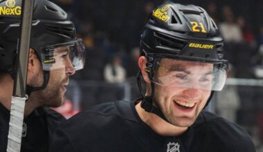 Vancouver Canucks forward Nils Höglander smiles as he returns to the lineup for an NHL game Monday, Dec. 8 against the Detroit Red Wings at Rogers Arena in Vancouver. Höglander missed 29 games with an ankle injury. (https://x.com/Canucks)