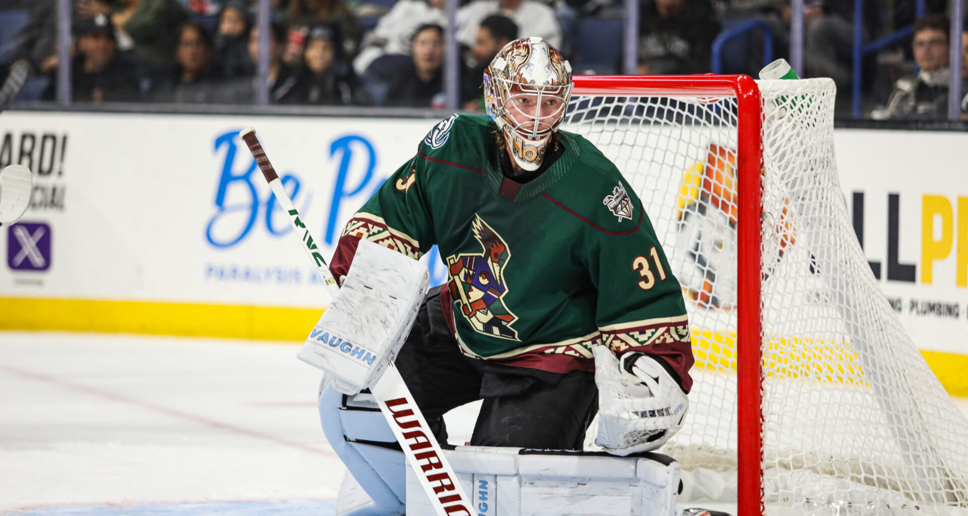 Tucson Roadrunners Hockey