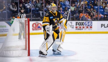 Murashov making strong case for return to Pittsburgh – Wilkes-Barre Citizens' Voice