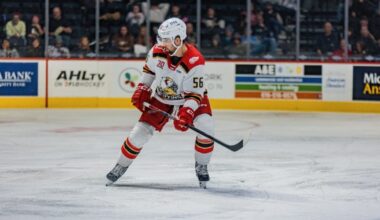 Grand Rapids Griffins | Erik Gustafsson Recalled by Detroit