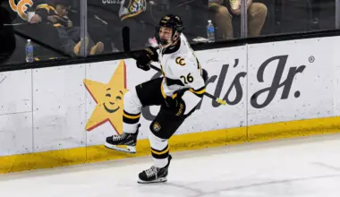 Vancouver Canucks prospect named to Sweden's roster for 2026 IIHF World Junior Hockey Championship