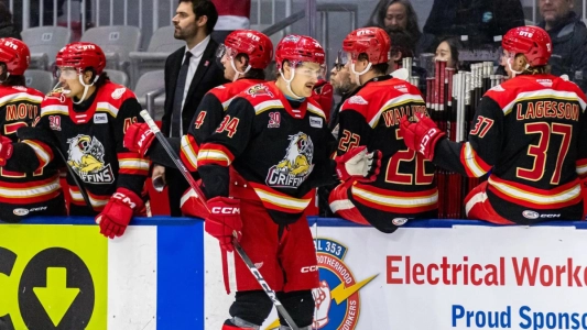 AHL Grand Rapids Griffins goal celebration AHL Grand Rapids Griffins goal celebration