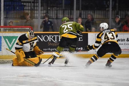 Goaltender Brendan Bonello