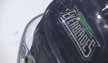 Everblades facing labor unrest, game postponement | Lee County