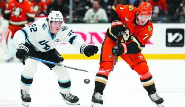 Vejmelka gets first shutout of season as Mammoth beat Ducks | Sports
