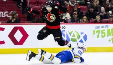 Hofer's 41 saves lifts St. Louis Blues to 2-1 win over Ottawa Senators | National Sports