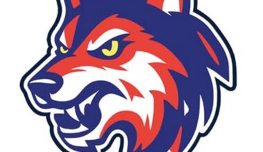 Local pro hockey: Indiana generates four-power play goals to rally past visiting Wolves | Wolves