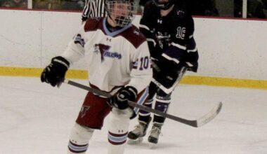 Hockey Falcons Beat SBHS, Basketball Boys Fall to Lakers | Sports