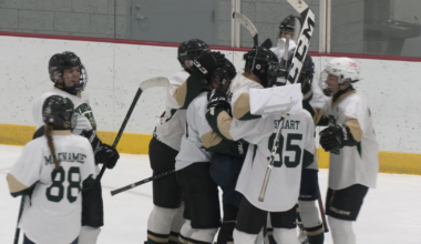 H.S. Hockey: Vestal tops Maine-Endwell in low-scoring game Sunday night | Sports