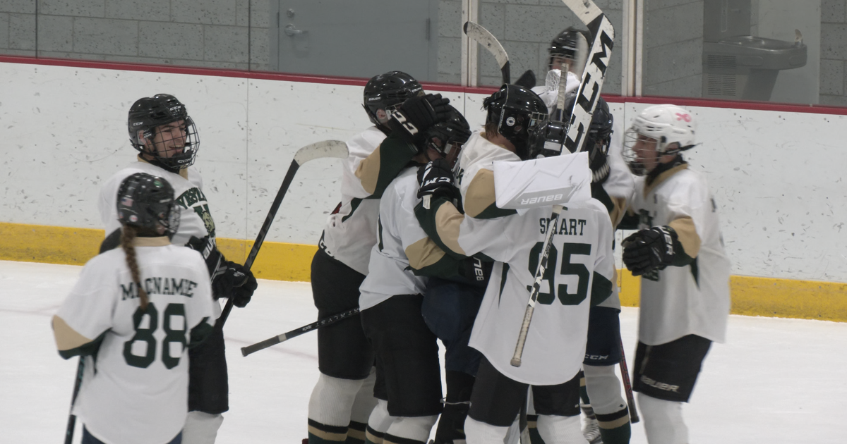 H.S. Hockey: Vestal tops Maine-Endwell in low-scoring game Sunday night | Sports